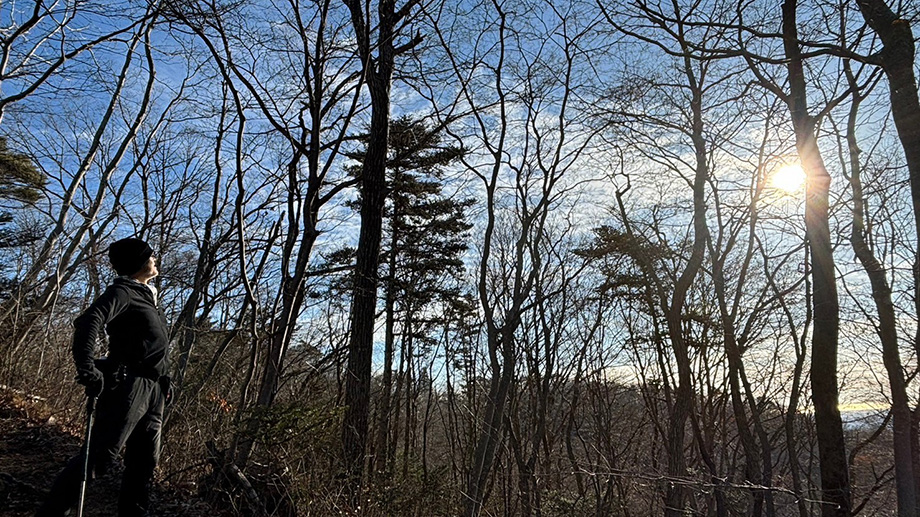 カミノ・デ・バンザン