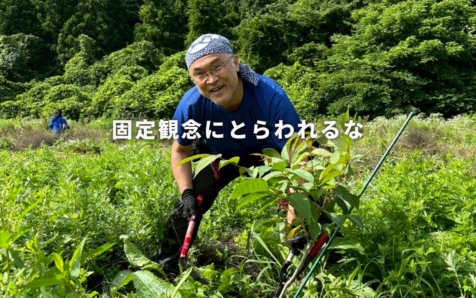 固定概念にとらわれるな