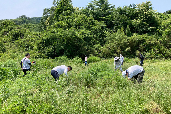 漆の植樹・栽培 - 2023-1