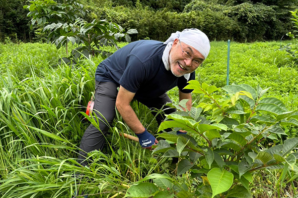 漆の植樹・栽培 - 2024-3