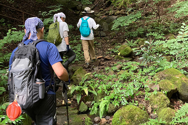 漆の植樹・栽培 - 2023-2
