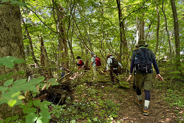 Camino de Banzan - 2024-1