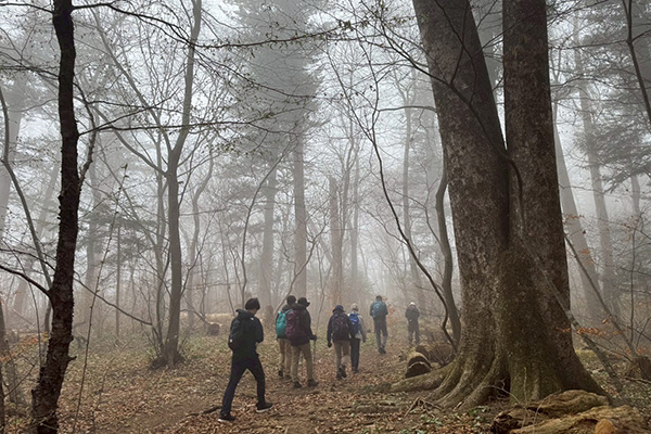 Camino de Banzan - 2025-3