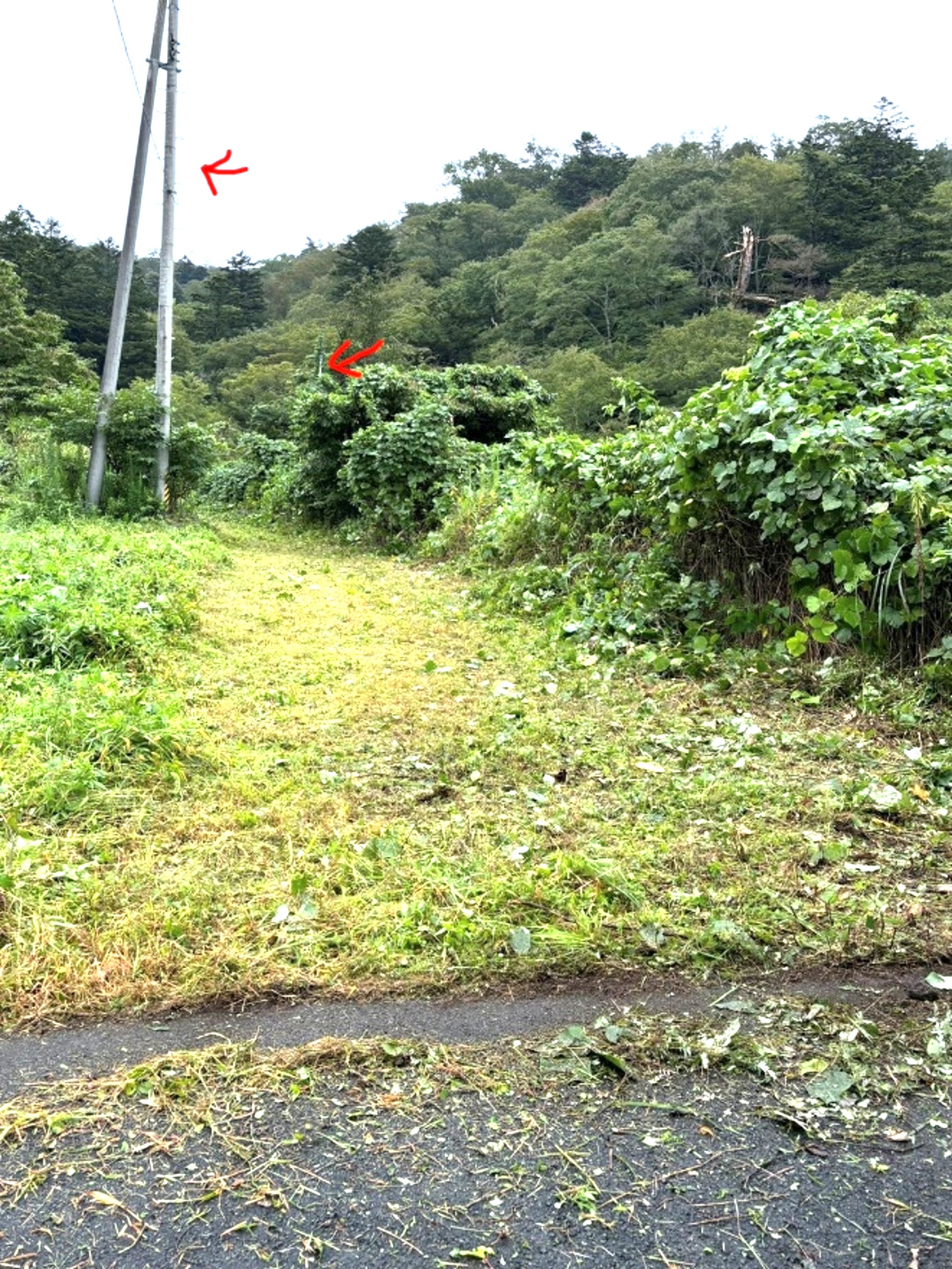 Camino de Banzan ― 登山口整備