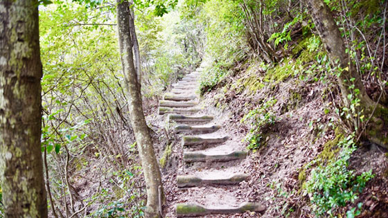 「Camino de Banzan」のご案内